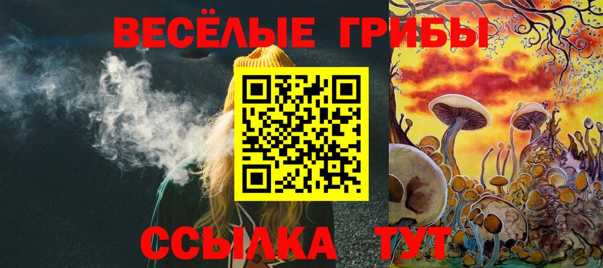 Галлюциногенные грибы Psilocybe  Вход с VPN  Саранск  Галлюциногенные грибы Psilocybe 