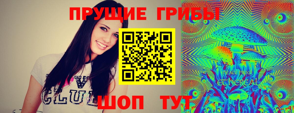 Псилоцибиновые грибы GOLDEN TEACHER Саранск